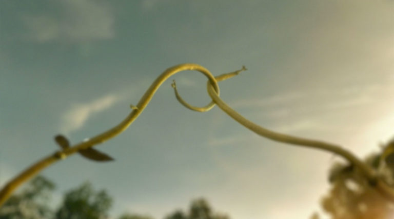 Frosted Flakes: Plant A Seed